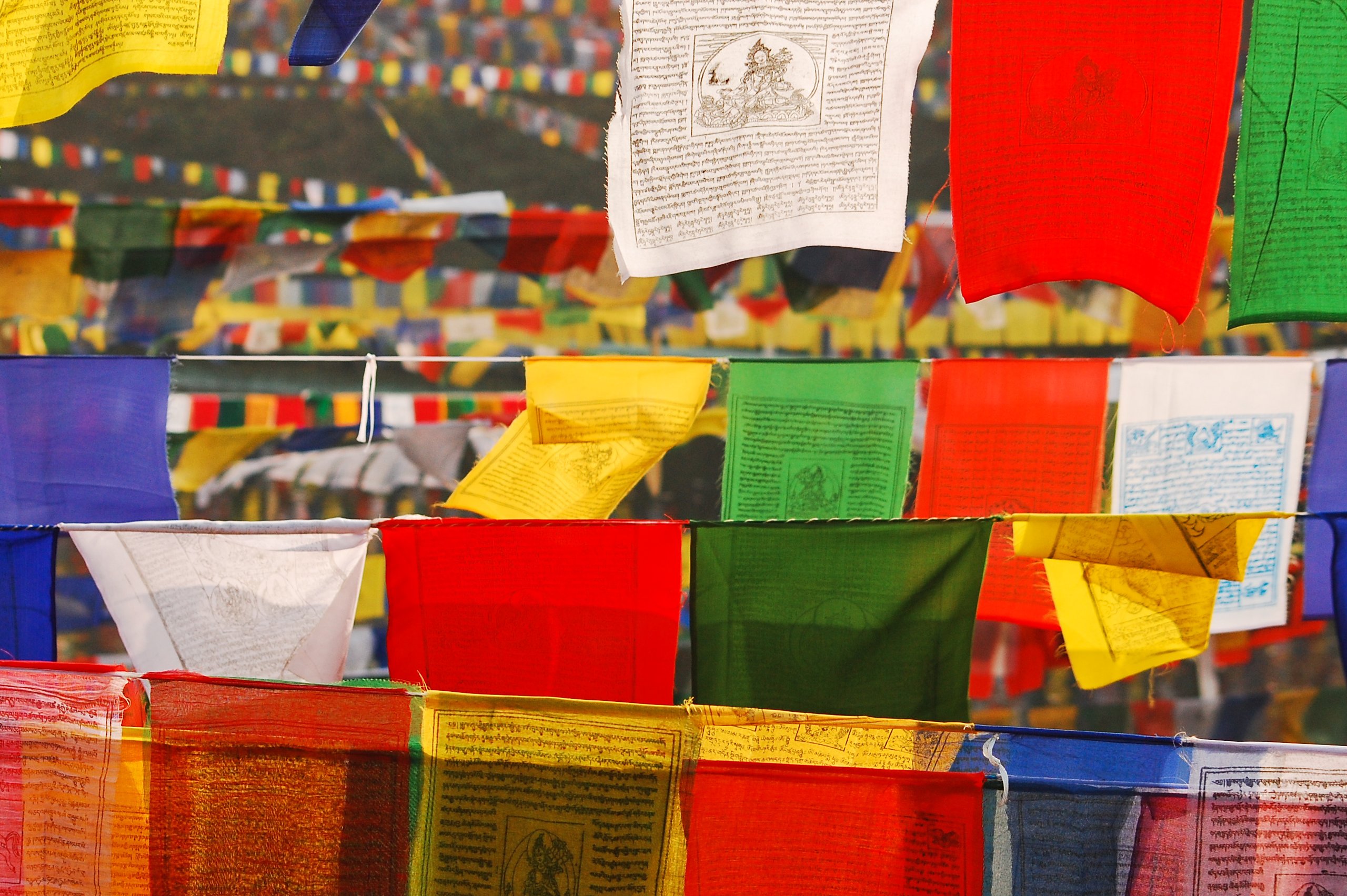 Raiz: India