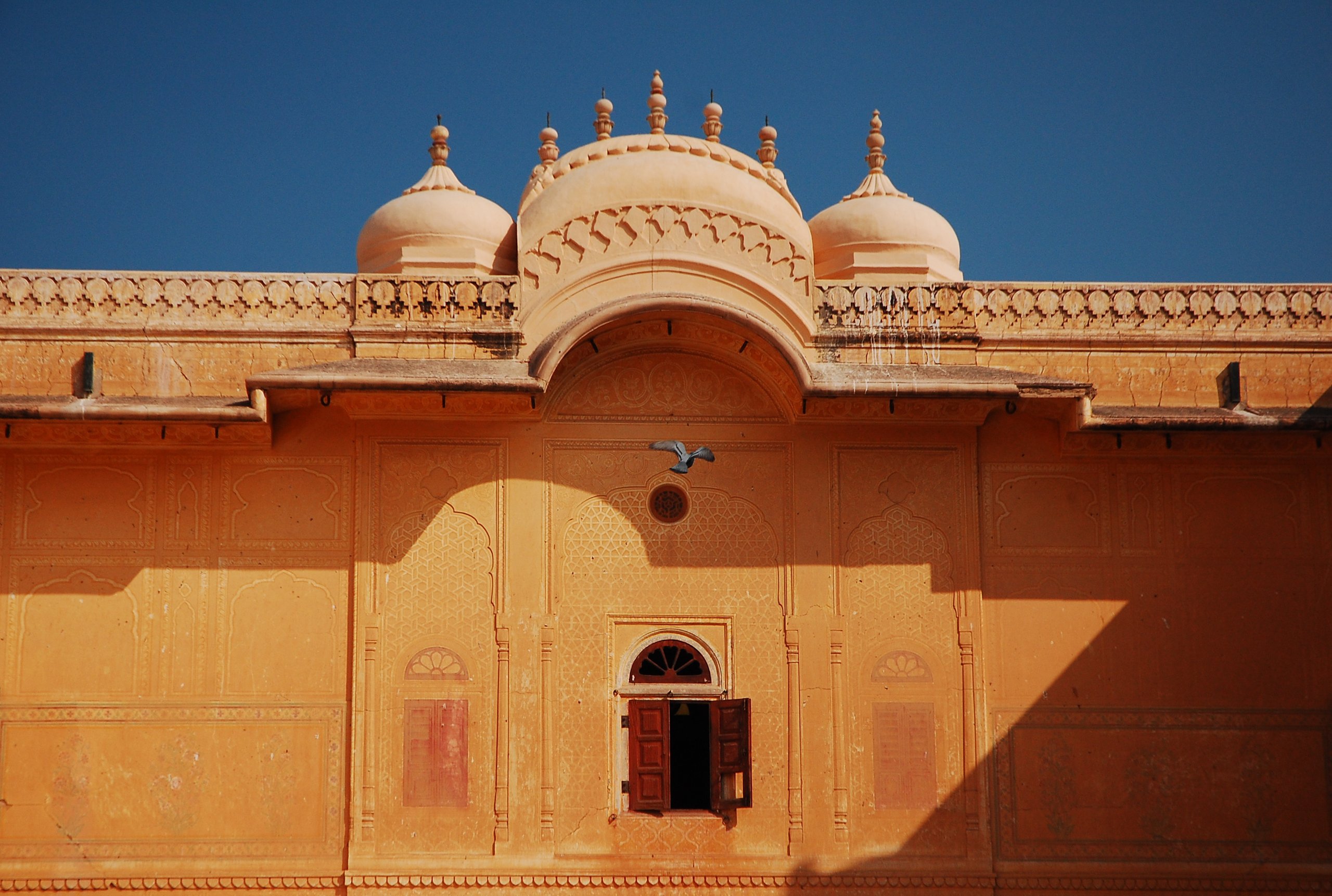 Raiz: India