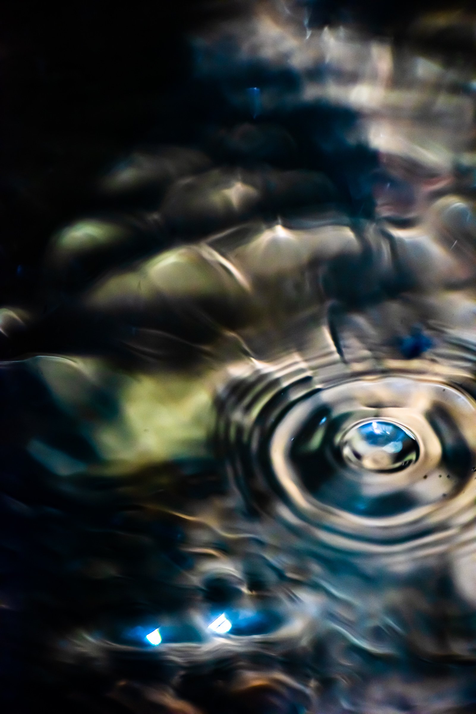 GOTA
