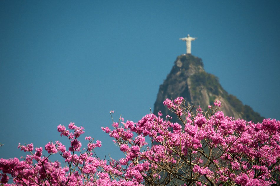 Rio