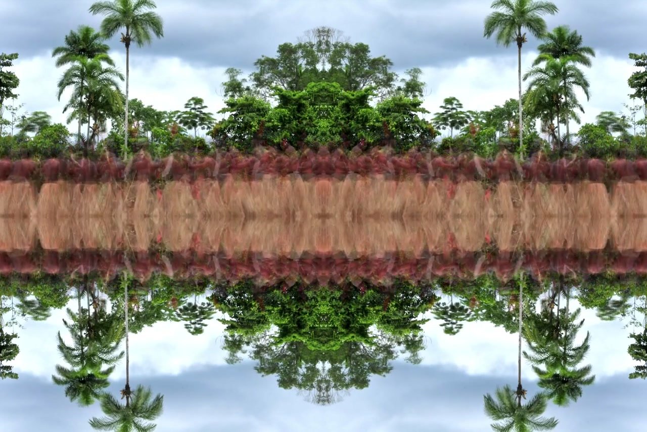 Mandala Yawanawá