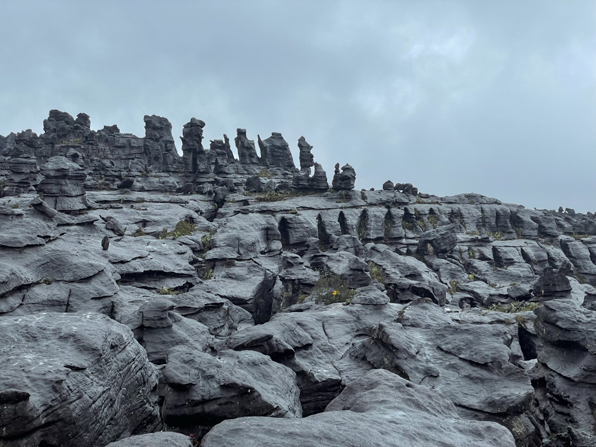 Monte Roraima