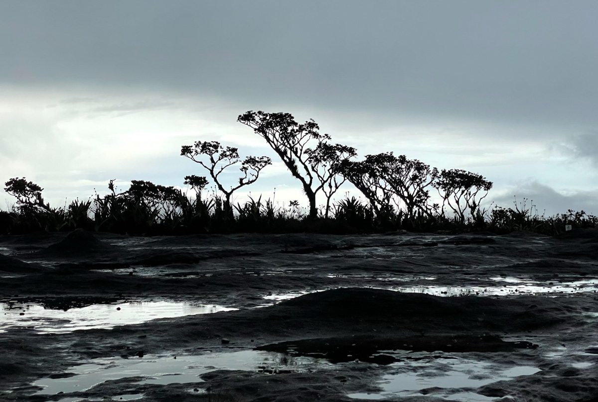 Monte Roraima