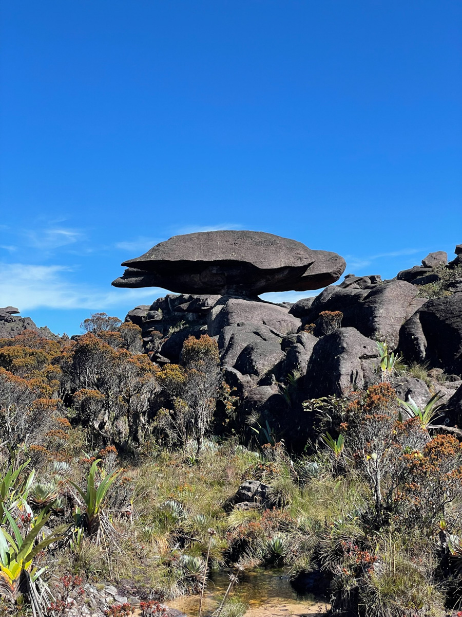 Monte Roraima