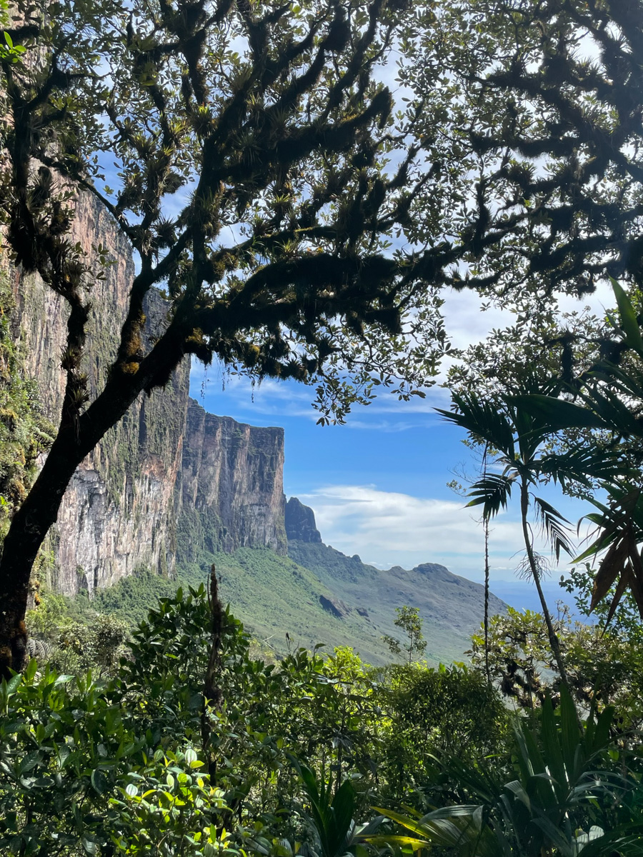 Monte Roraima