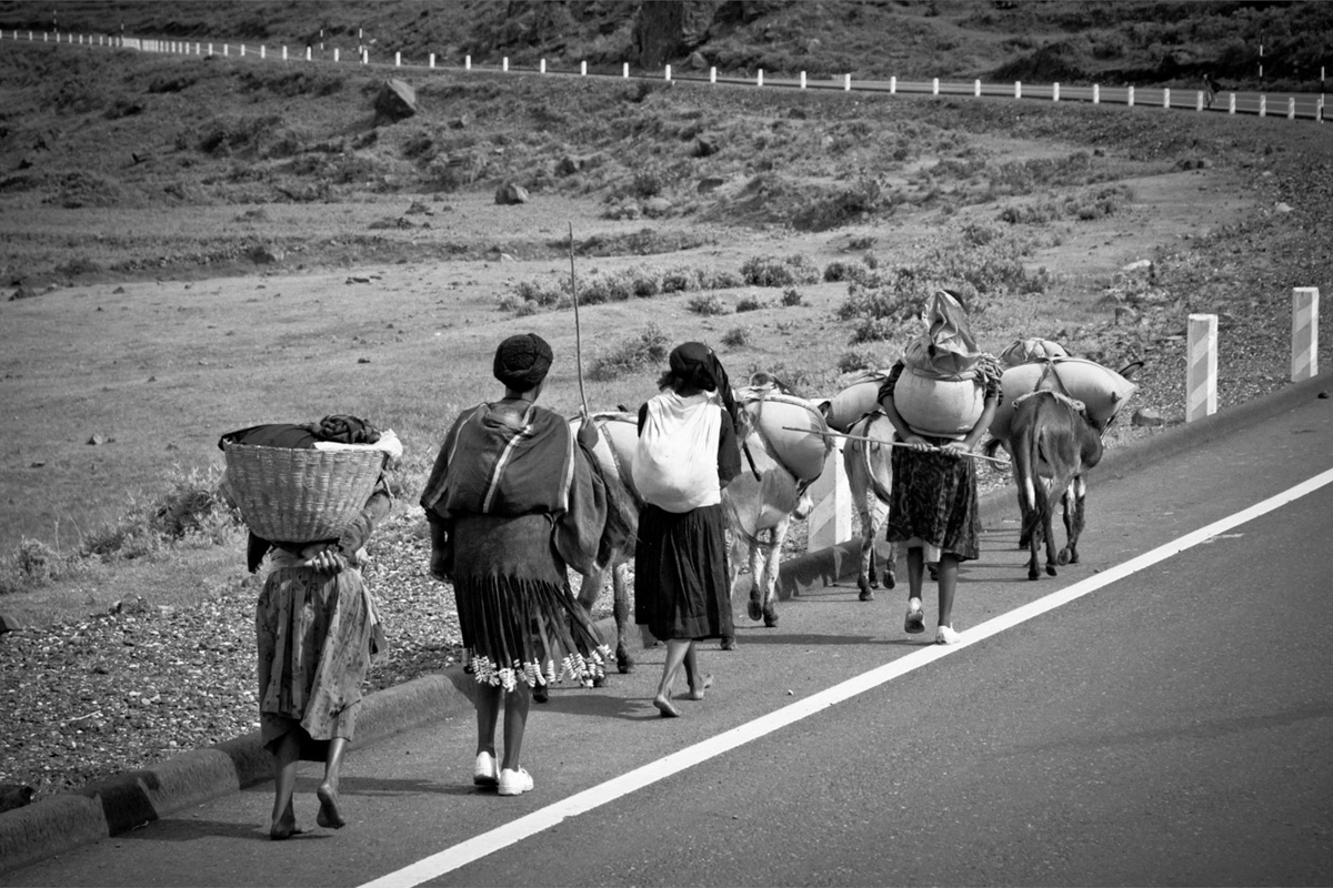 Raiz: Ethiopia