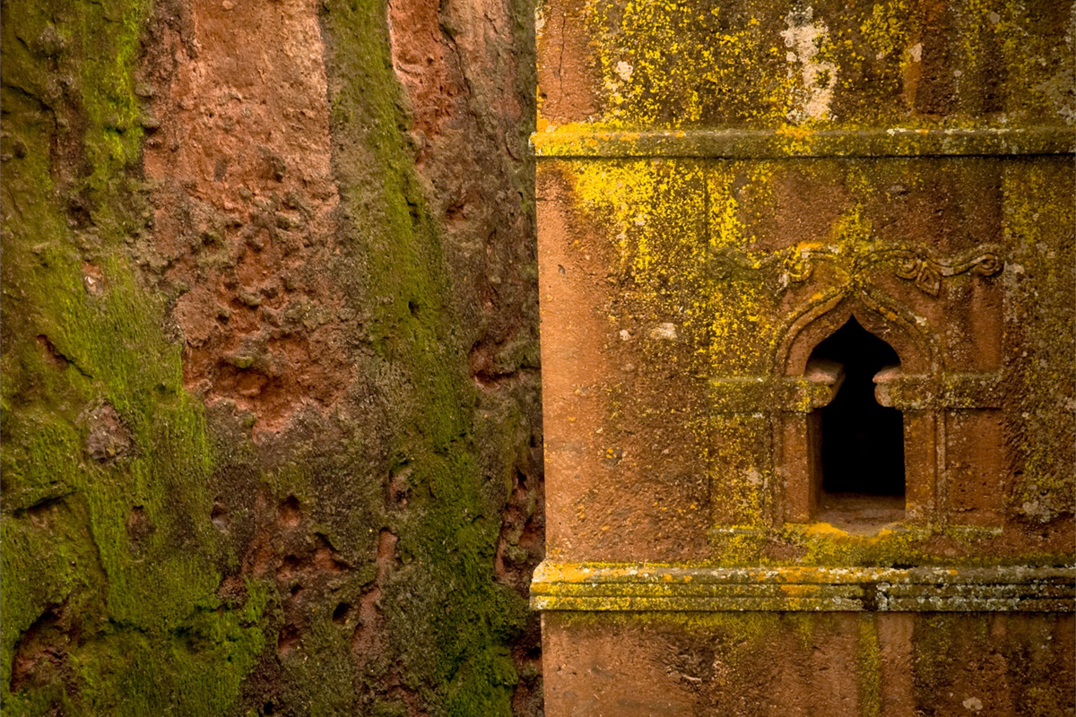 Raiz: Ethiopia