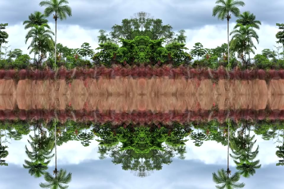 Raiz: Yawanawá