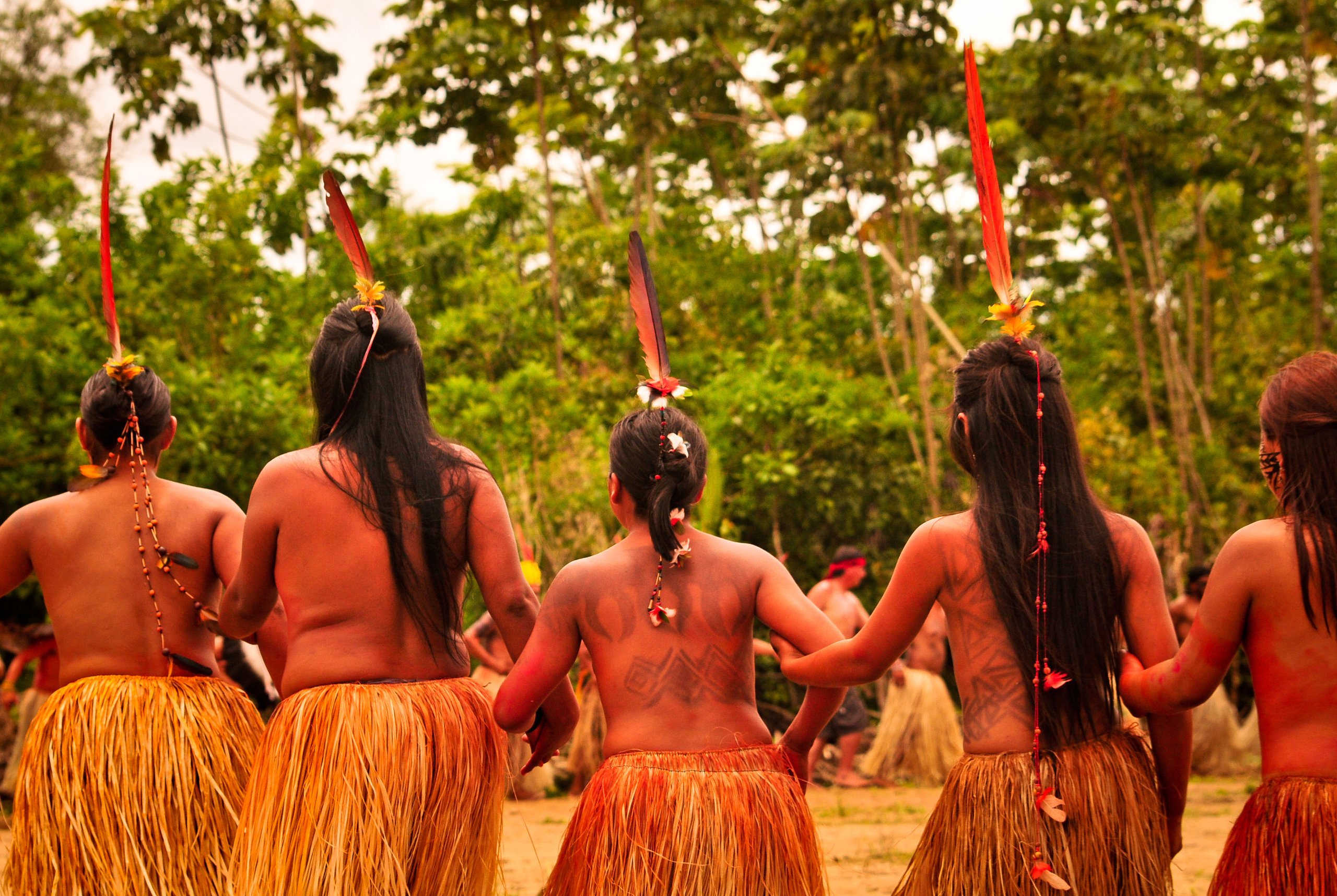 Raiz: Yawanawa