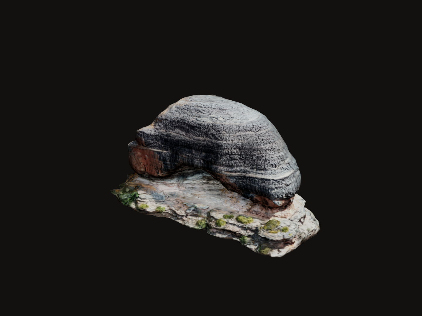 06 / CAVERNA CAÇADOR